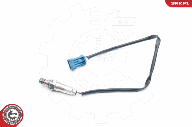 Oxygen Sensor